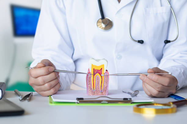 Best Emergency Treatment for Toothache in Marion, MT